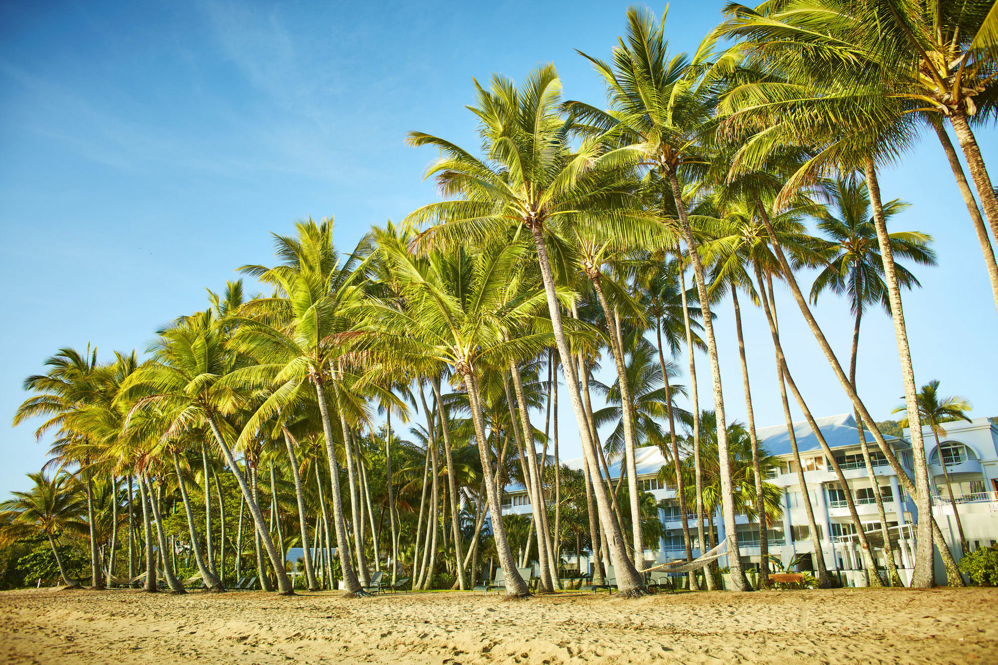 Alamanda Palm Cove By Lancemore Exterior foto